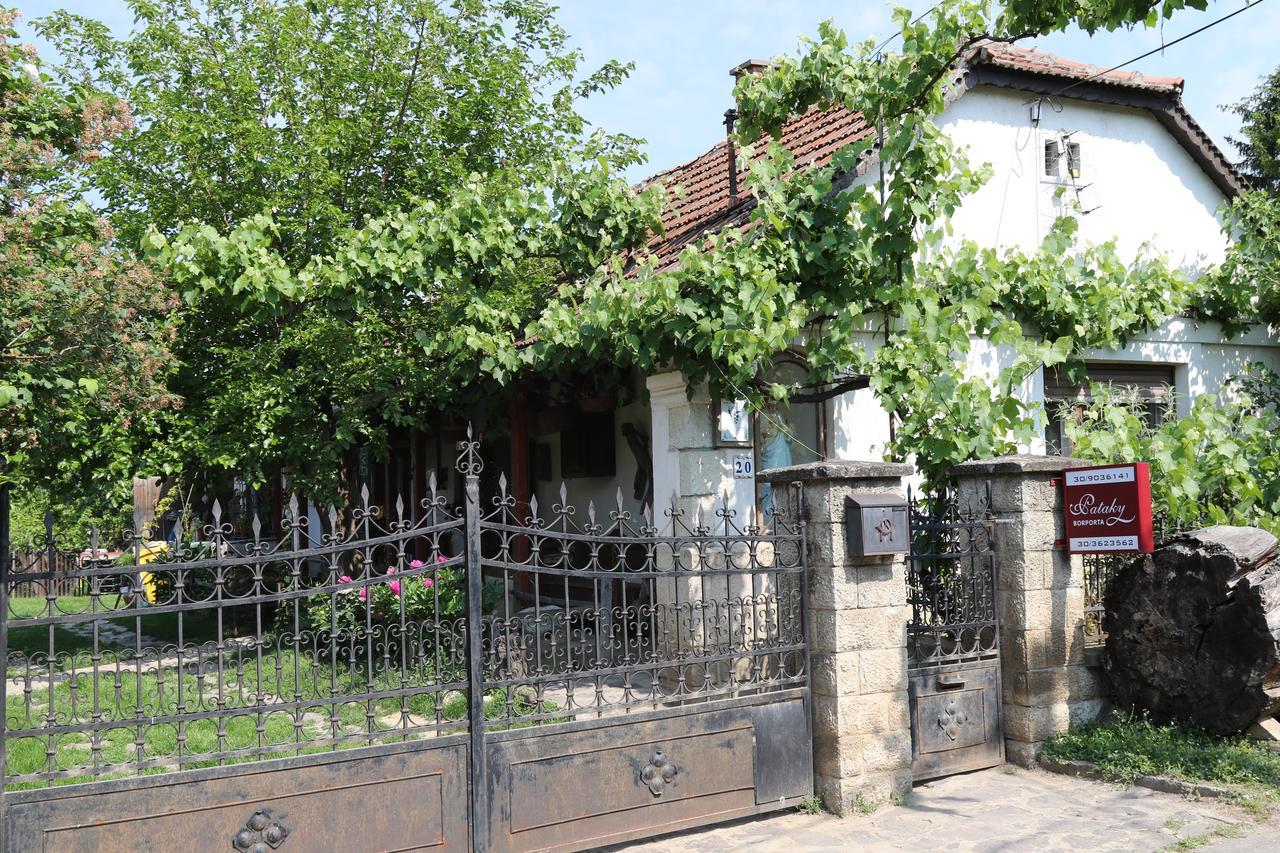 Pataky Borporta Bed & Breakfast Tarcal Exterior photo